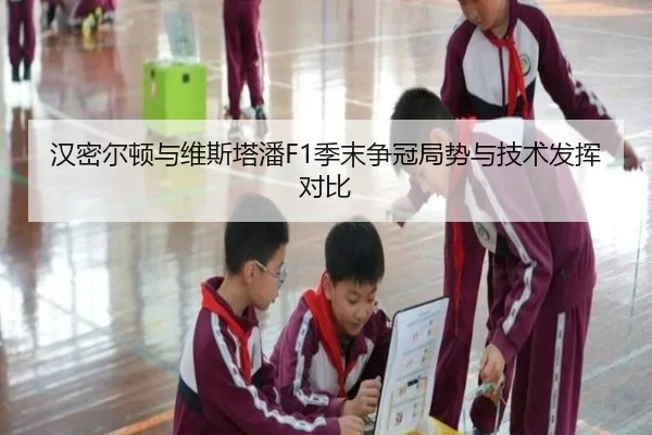 汉密尔顿与维斯塔潘F1季末争冠局势与技术发挥对比 | leyusports